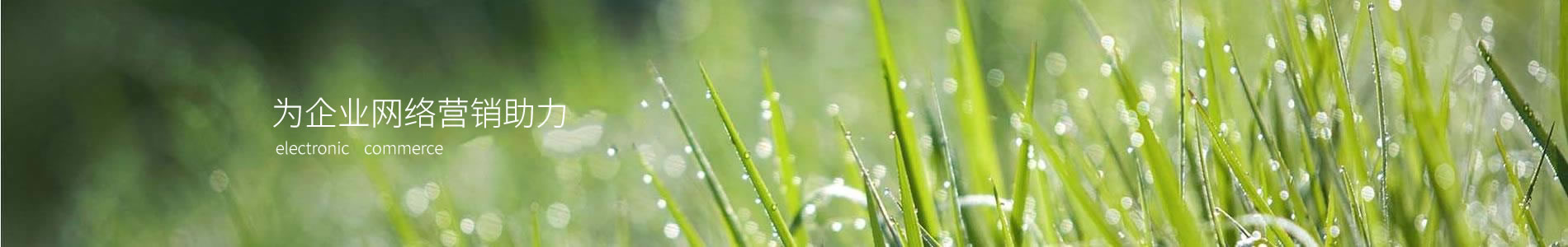 ֣ӢƼ޹˾